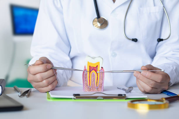 Best Dentist for Tooth Abscess  in Parole, MD